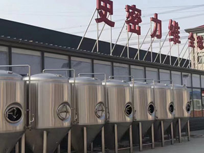 阳泉精酿啤酒设备厂—市场规模与跨界新需求